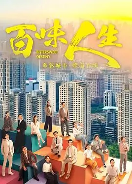 雾港迷案剧集海报